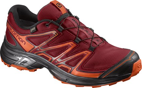 Salomon Wings Flyte 2 GTX 394713