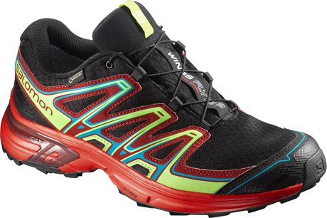 Salomon Wings Flyte 2 GTX 398482