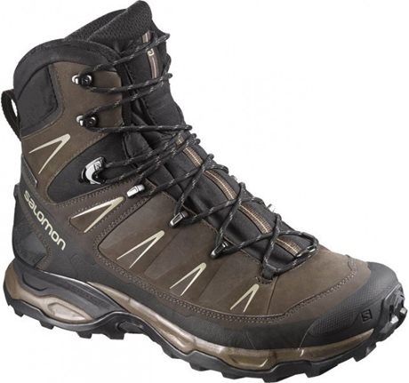 Salomon X Ultra Trek GTX 378386